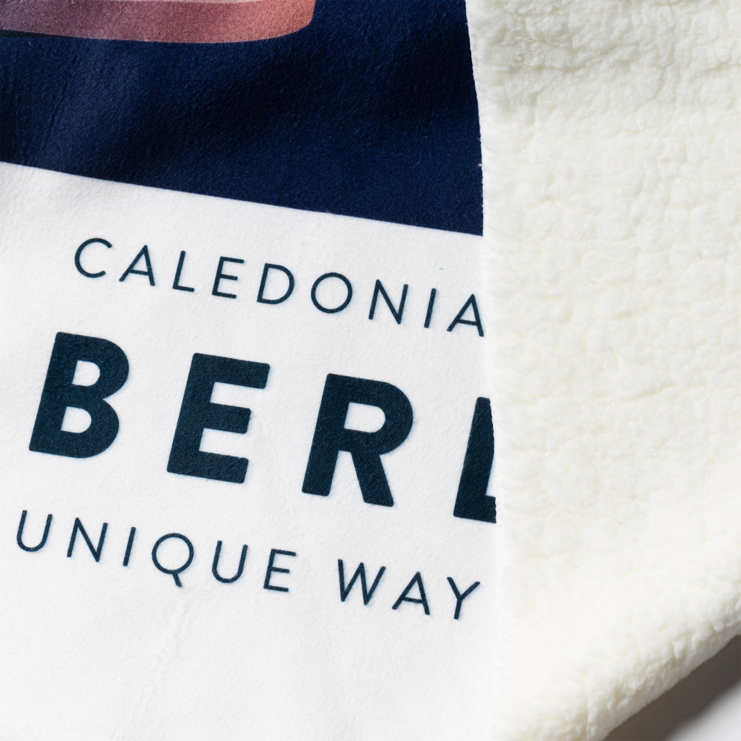 Caledonian Sleeper Sherpa Fleece Blanket - Aberdeen