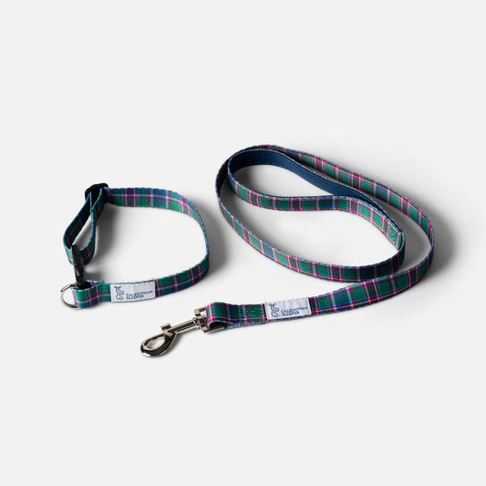 Caledonian Sleeper Tartan Dog Lead and Collar
