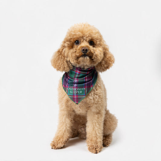Caledonian Sleeper Tartan Dog Bandana